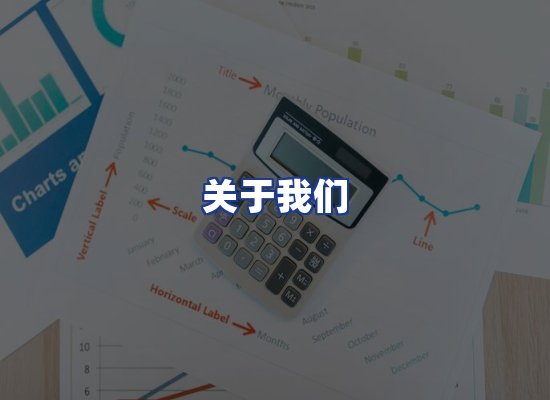 专业团队